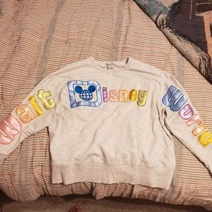 EUC 2XL Walt Disney World Pull Over